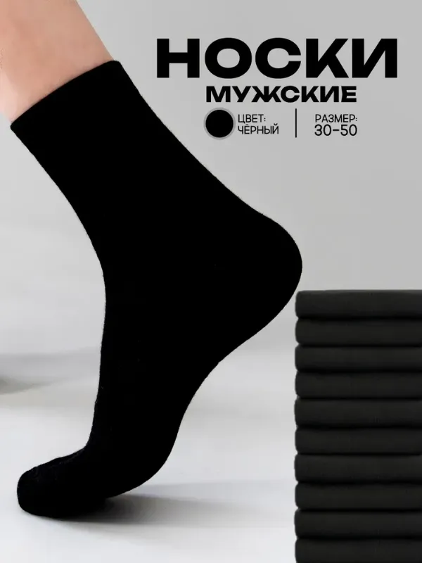 Носки АЛЬША мужские носки мужские, 10 пар