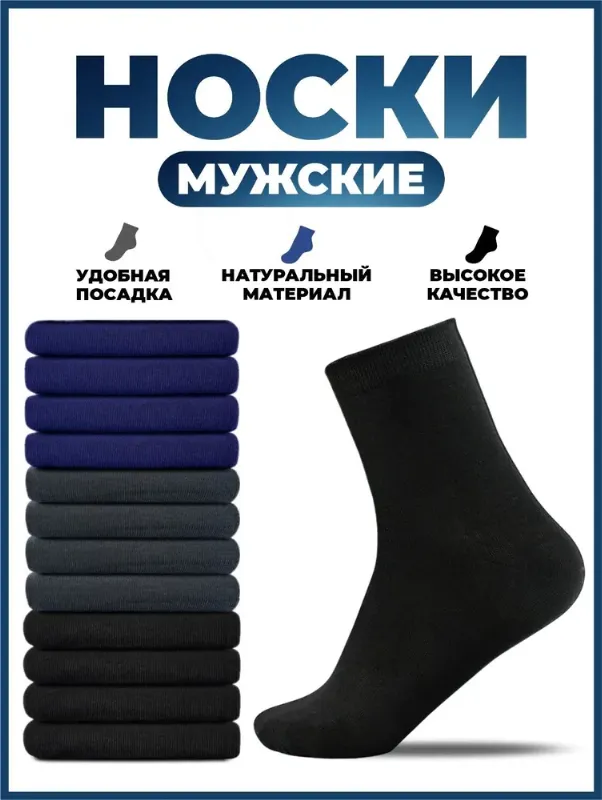 Носки АЛЬША мужские носки мужские, 10 пар