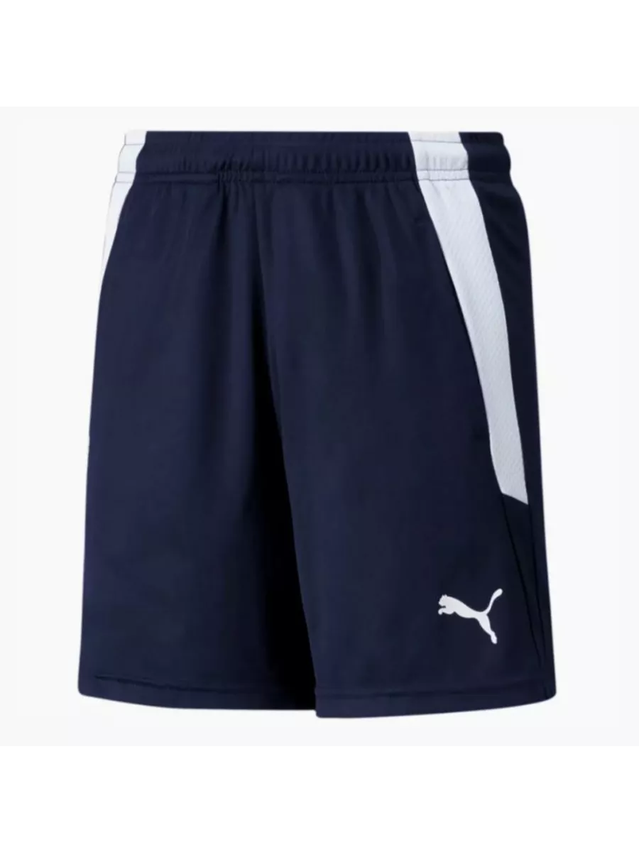 Шорты teamLIGA Training Shorts2 Jr